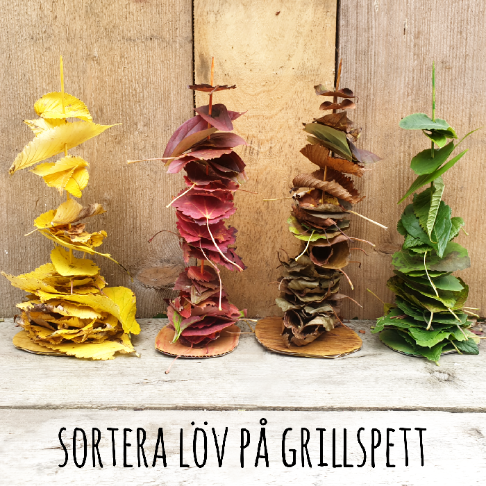 Sortera höstlöv på grillspett – Roligt och pedagogiskt höstpyssel för barn